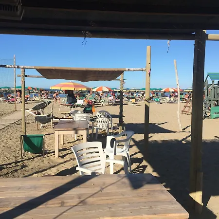 Viking Rimini